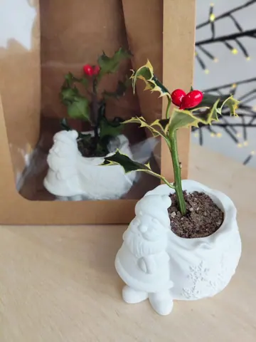 Pai Natal com azevinho