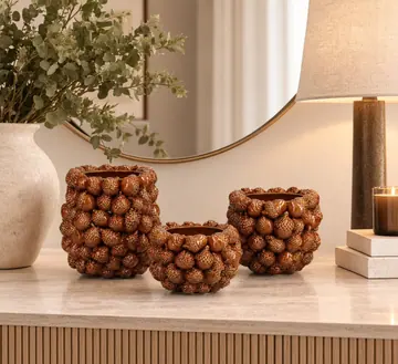 Jarras Bolotas Delux