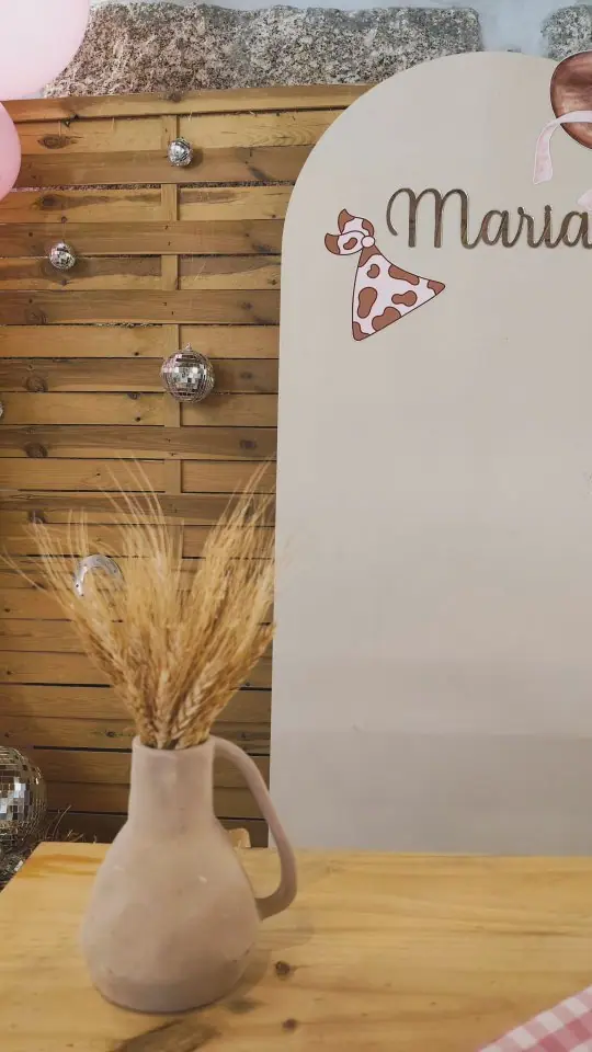 A boiadeira — Aniversário da Maria, fotografia 3