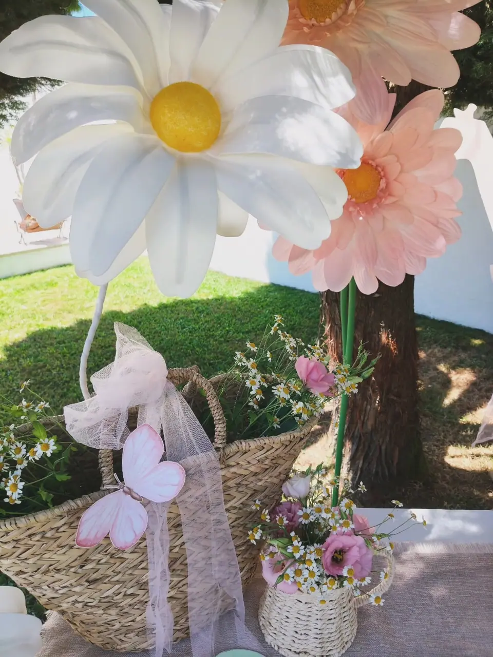 Jardim selvagem — 2 anos da Victoria