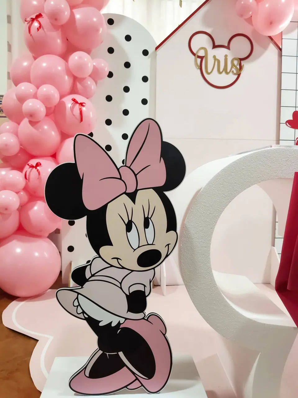 Minnie, um ano — 1.º aniversário da Íris