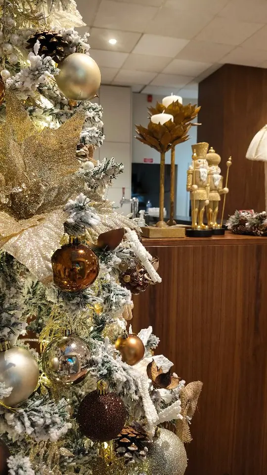 Natal acolhedor — Restaurante O Tarasco, fotografia 3